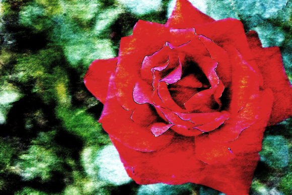 Elevate Your Visual Communication with Printable Flower Graphics Pack 10